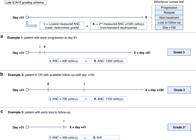 Correction: Development and validation of an automated computational approach to grade immune effector cell-associated hematotoxicity