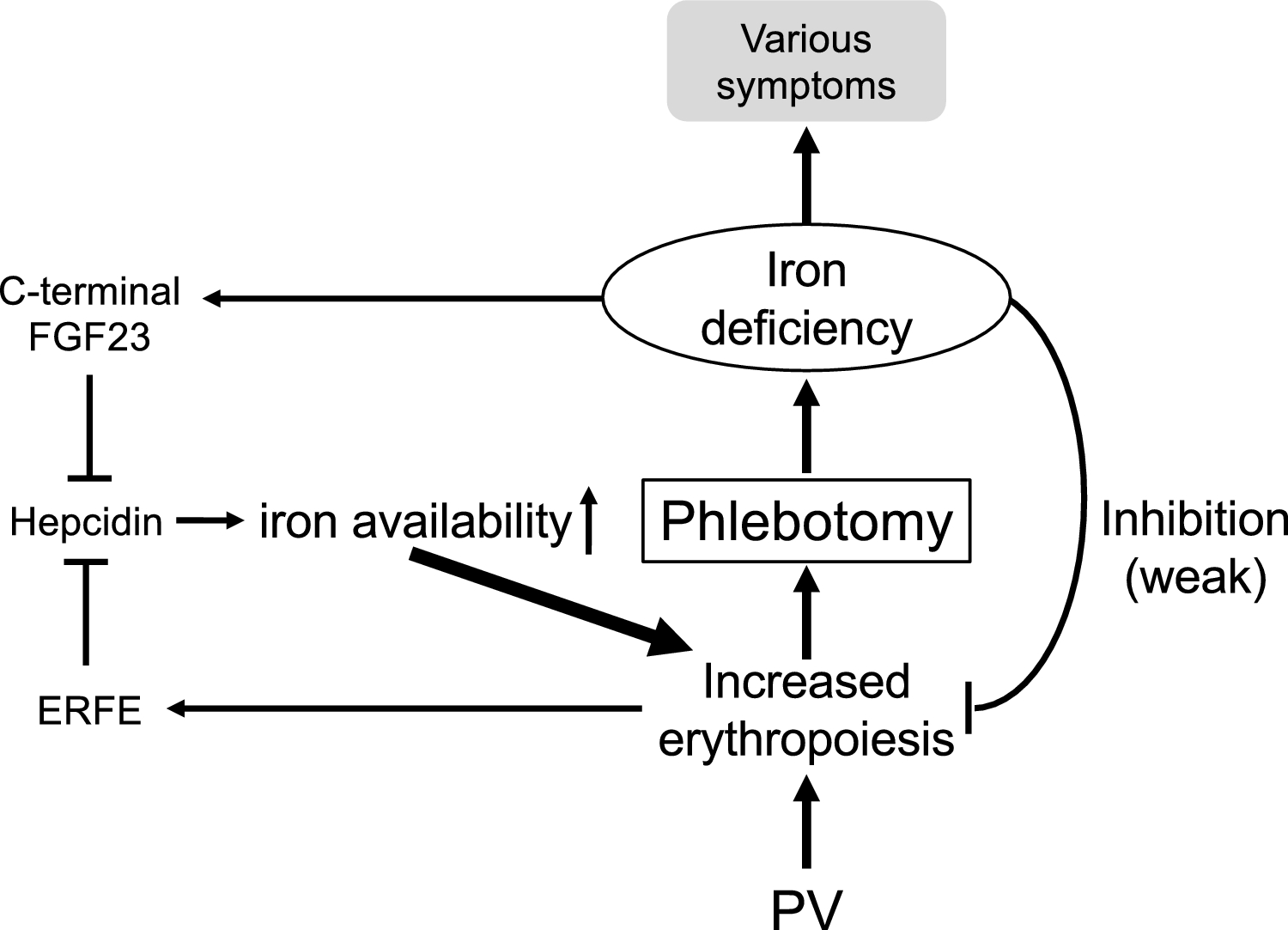 Iron deficiency and phlebotomy in patients with polycythemia vera