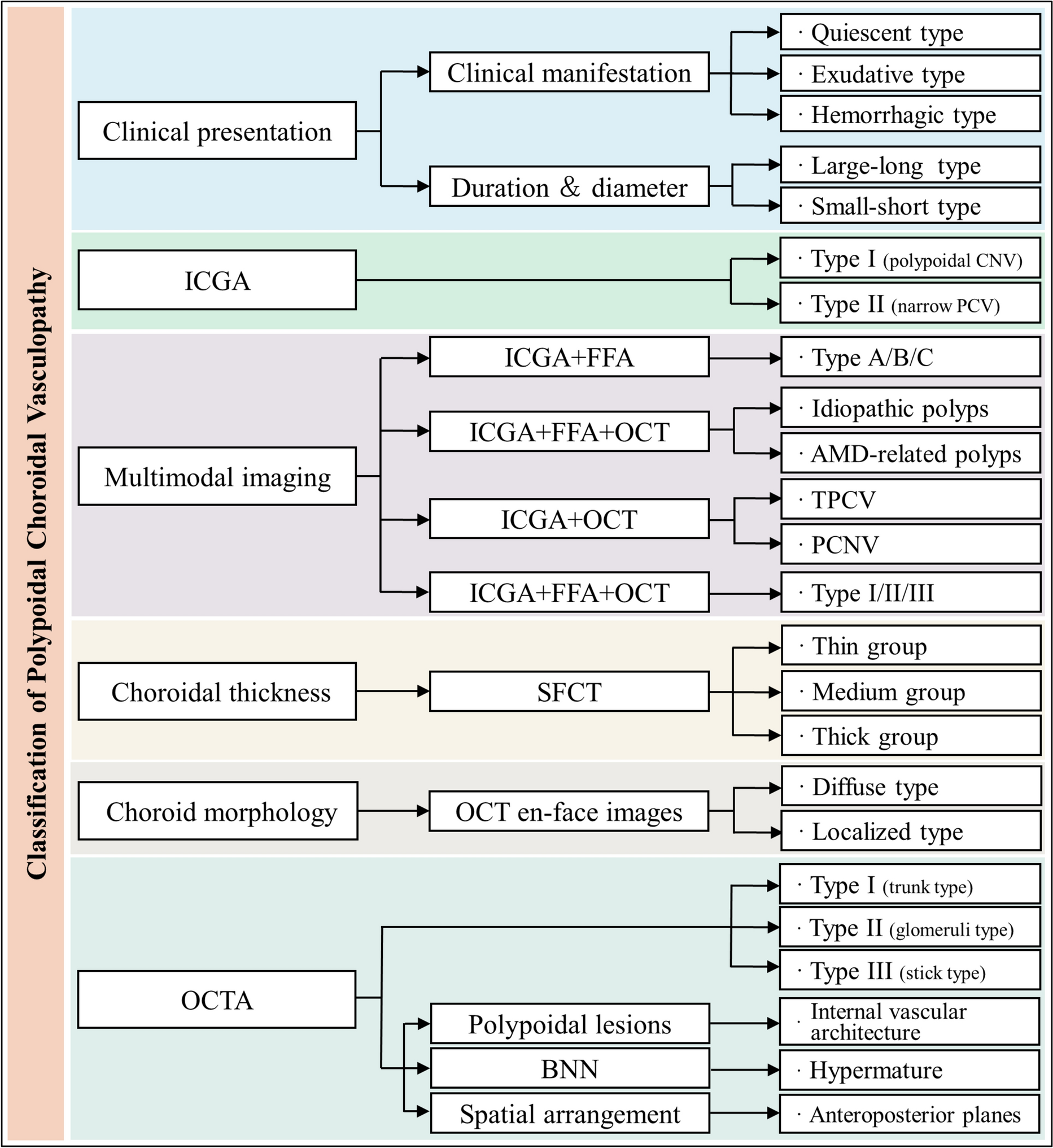 Review on classification of polypoidal choroidal vasculopathy