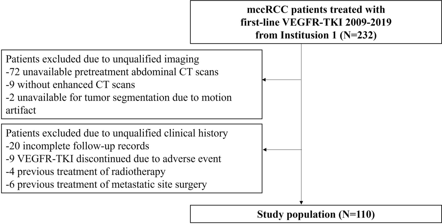 Predicting first-line VEGFR-TKI resistance and survival in metastatic clear cell renal cell carcinoma using a clinical-radiomic nomogram