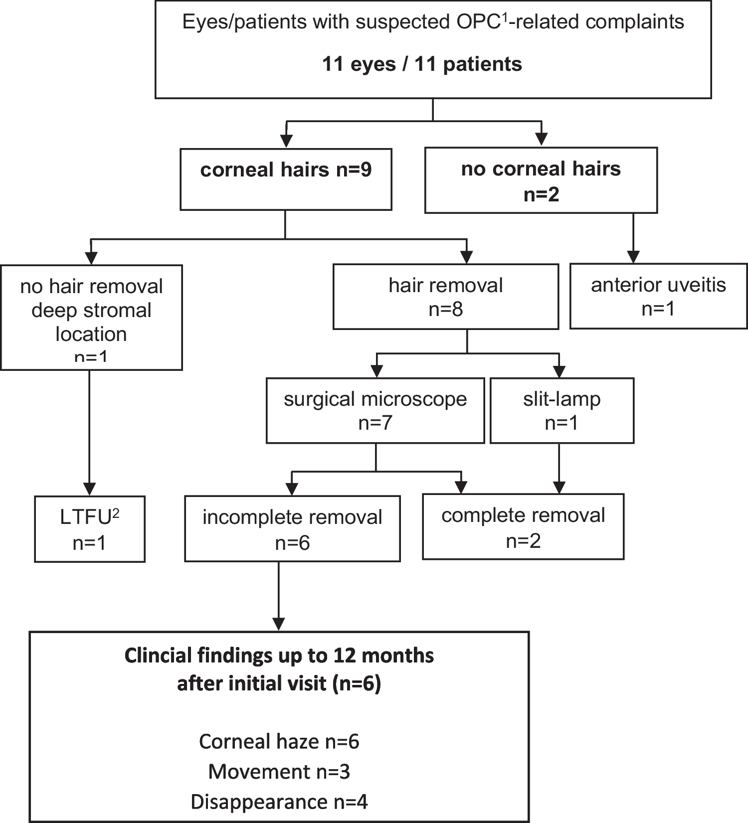 Ocular involvement of oak processionary caterpillar hairs: Clinical outcome up to one year