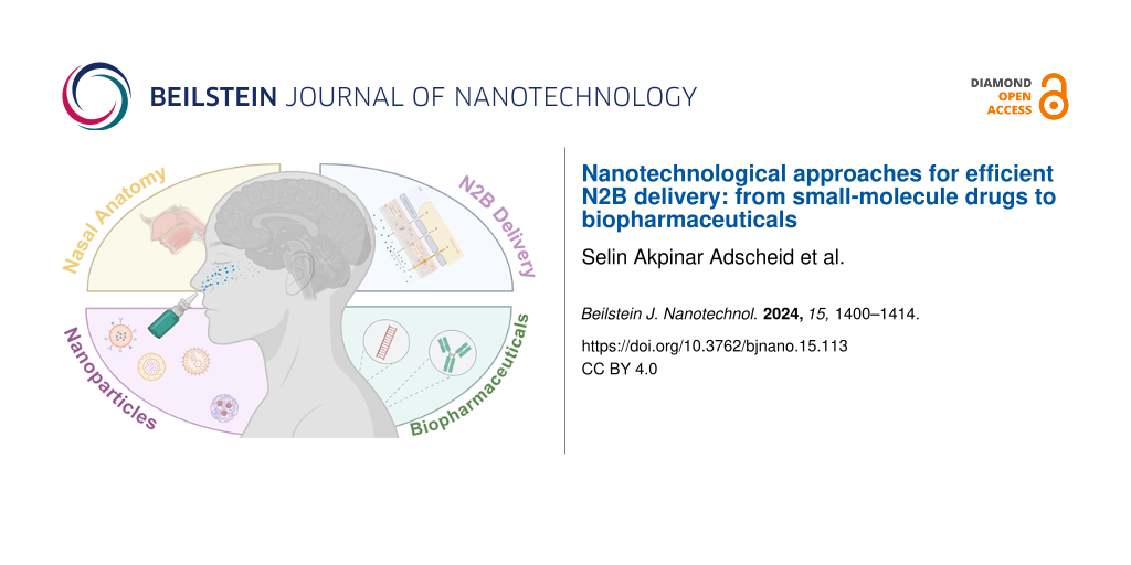 Nanotechnological approaches for efficient N2B delivery: from small-molecule drugs to biopharmaceuticals