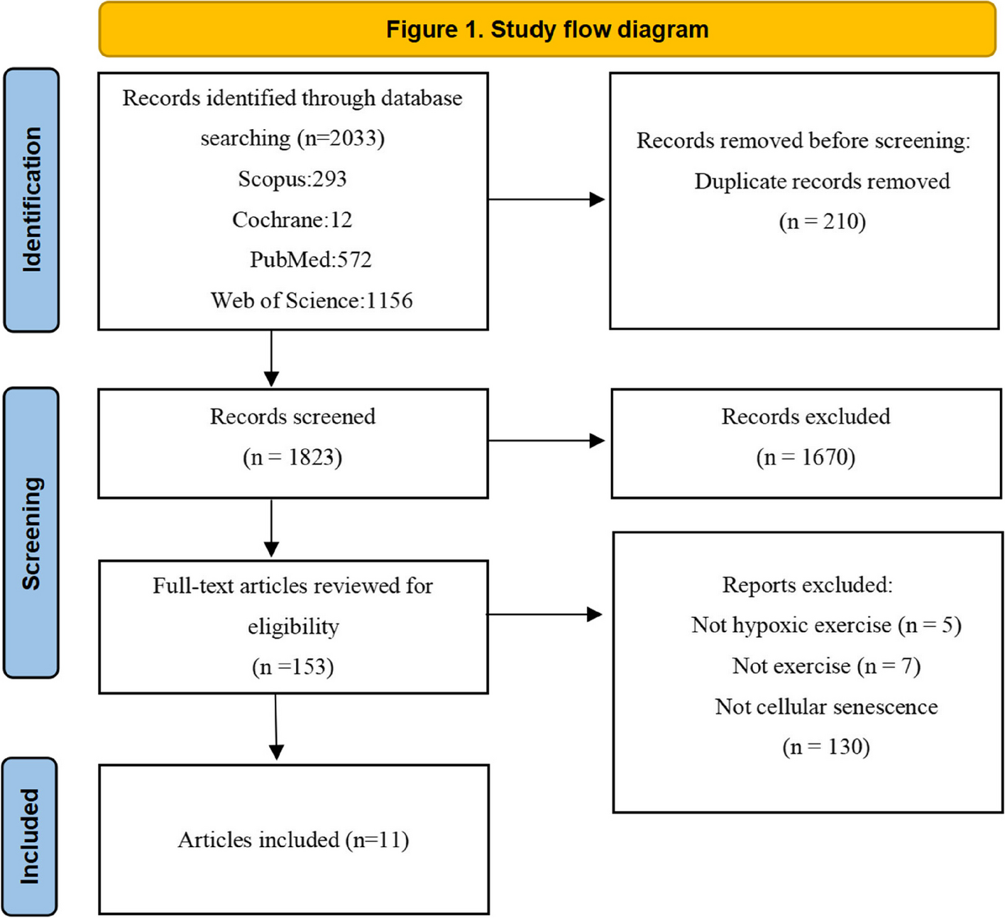 Can hypoxic exercise retard cellular senescence? A narrative review