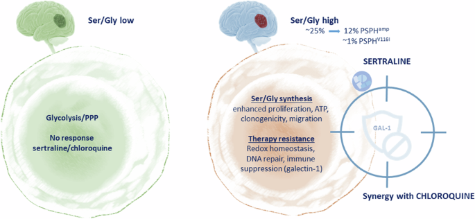 Sertraline/chloroquine combination therapy to target hypoxic and immunosuppressive serine/glycine synthesis-dependent glioblastomas