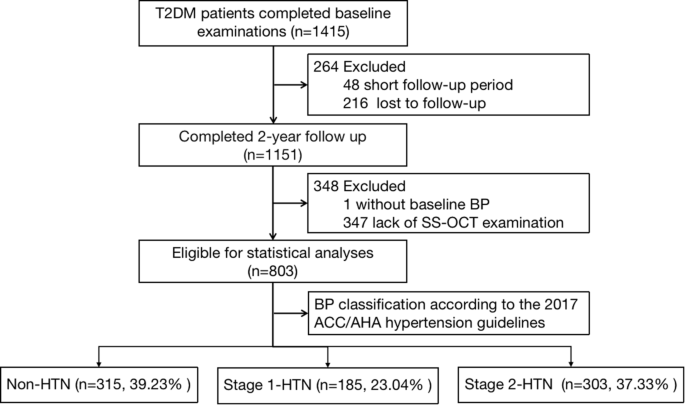 Association of hypertension defined by the 2017 ACC/AHA guideline and choroidal thickness changes in type 2 diabetes: a 2-year longitudinal study