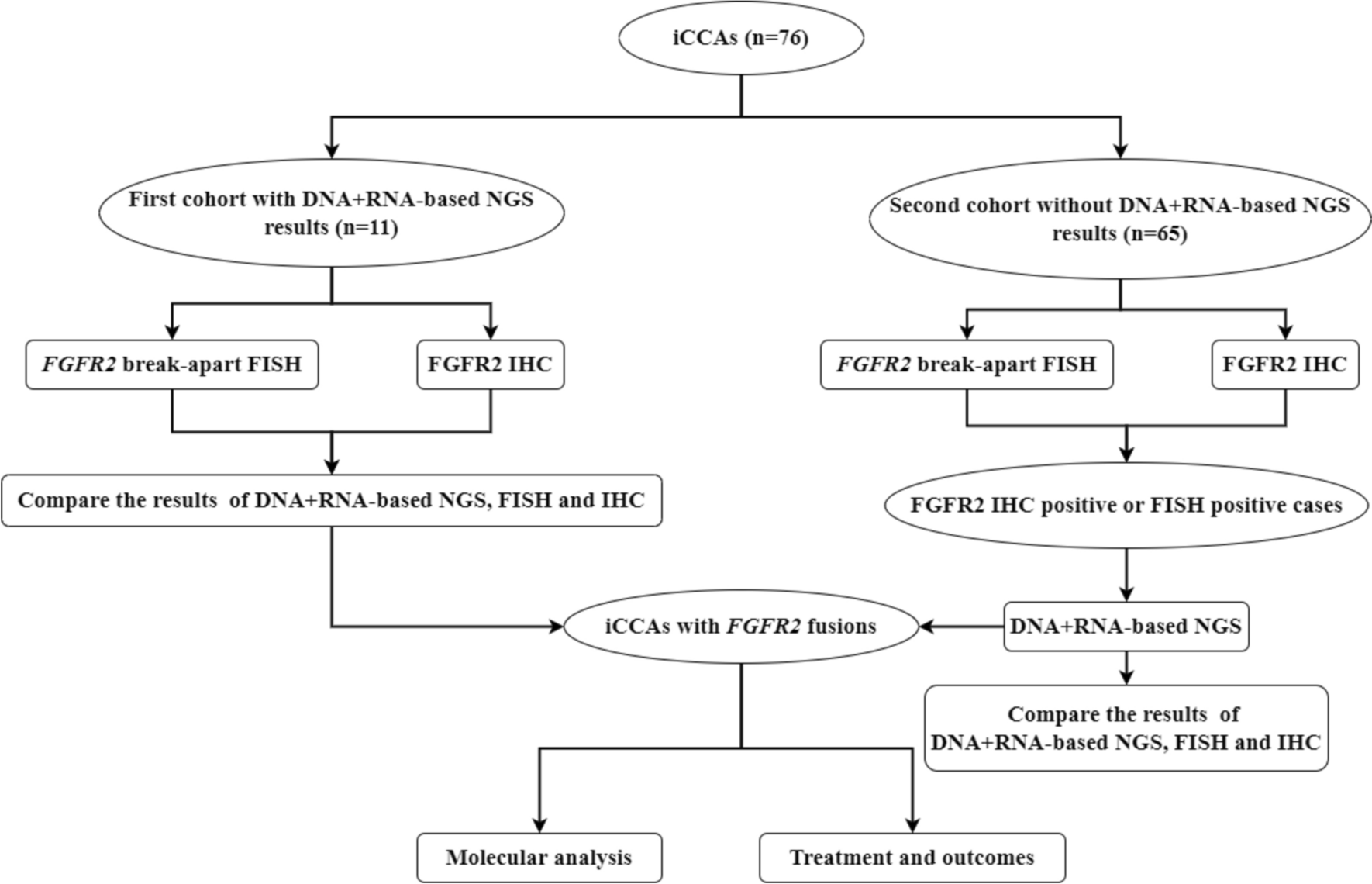 FGFR2 fusions assessed by NGS, FISH, and immunohistochemistry in intrahepatic cholangiocarcinoma