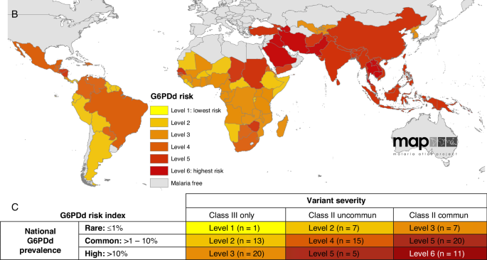 G6PD trait: societal importance to ensure well-being of female heterozygotes for health and childbirth