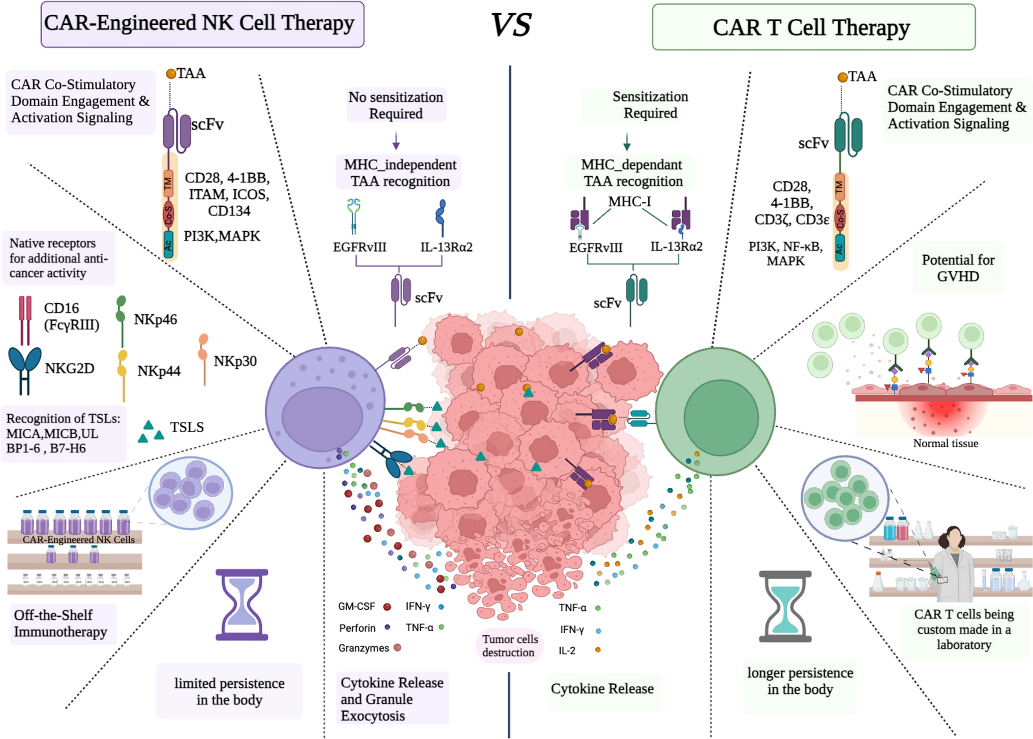 CAR-engineered NK cells versus CAR T cells in treatment of glioblastoma; strength and flaws