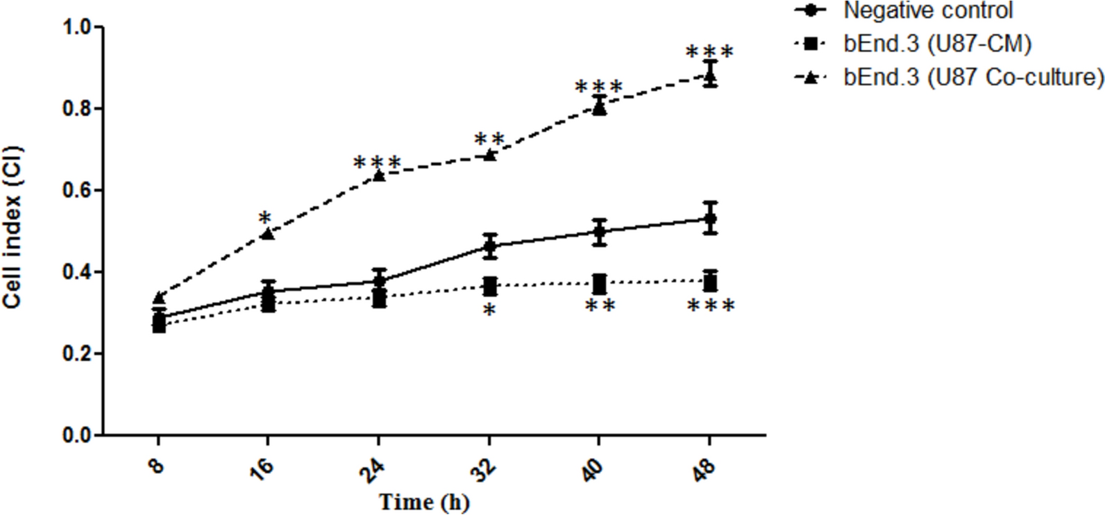 Glioblastoma cells alter brain endothelial cell homeostasis and tight junction protein expression in vitro