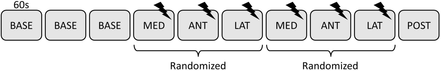 Effect of experimental knee pain location on gait kinematics