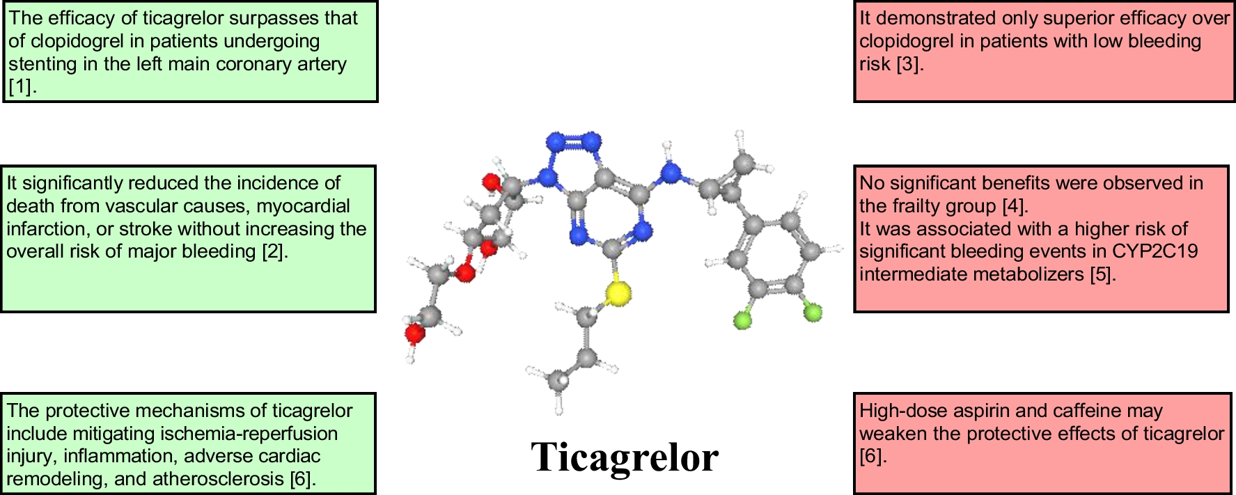 Ticagrelor versus Clopidogrel: Two Controversial Drugs in Patients with Acute Coronary Syndrome