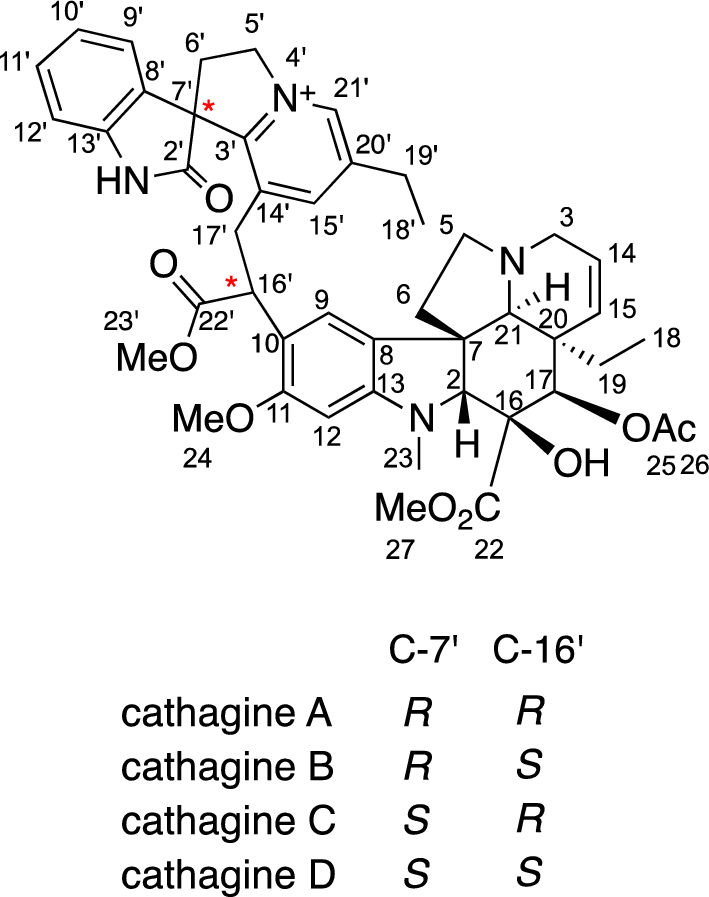 Cathagines A–D, new bisindole alkaloids from Catharanthus roseus