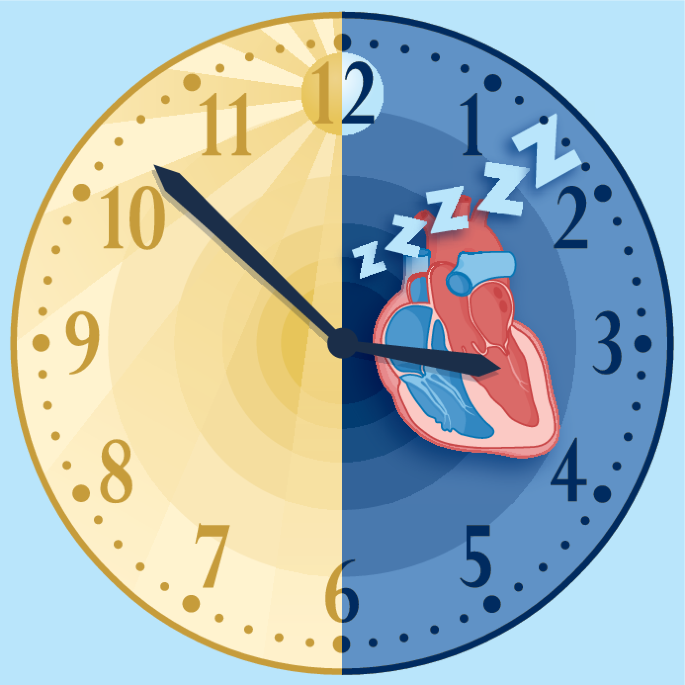 Monocytes migrate to the brain after MI to promote deep sleep to aid cardiac healing