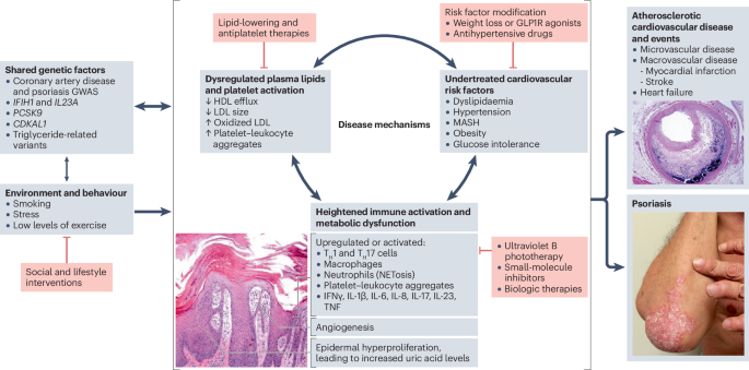 Cardiodermatology: the heart of the connection between the skin and cardiovascular disease