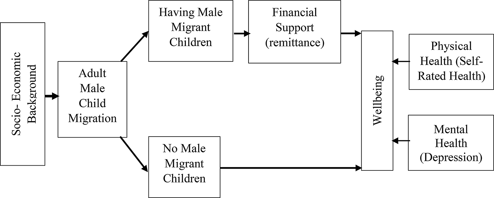 Physical and mental well-being of older adults: examining the impact of financial support from male migrant children on Indian left-behind parents