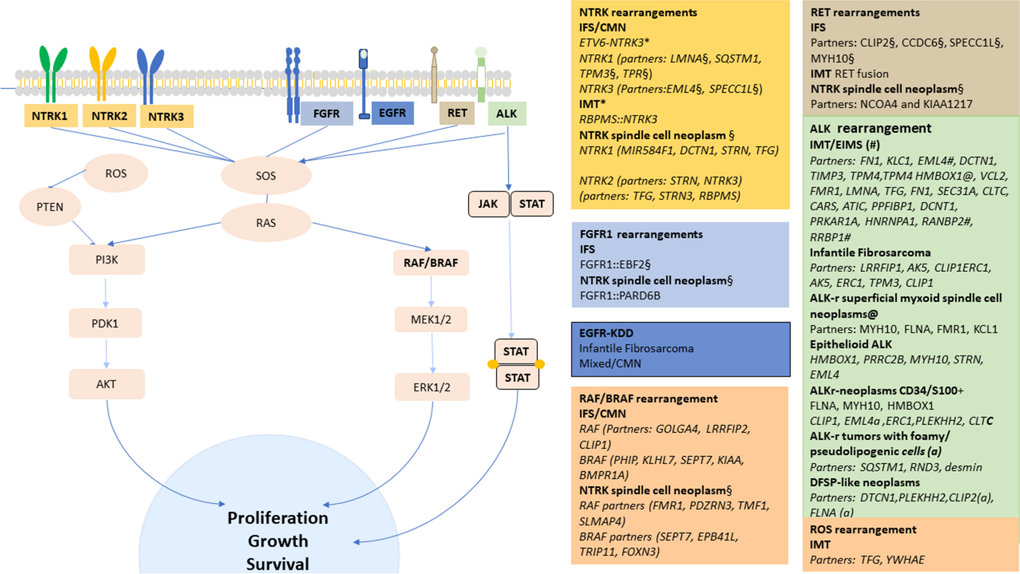 What is new in fibroblastic/myofibroblastic tumors in children