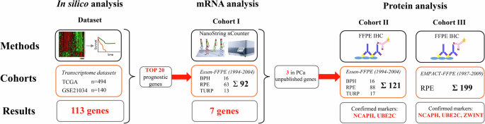 Enhancing risk stratification models in localized prostate cancer by novel validated tissue biomarkers