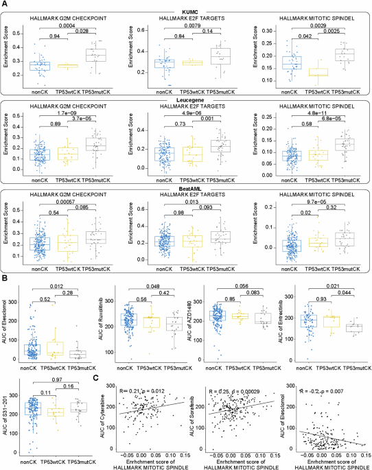 Impact of TP53 mutation on genetic and cellular hierarchy profile in complex karyotype AML/MDS with increased blasts