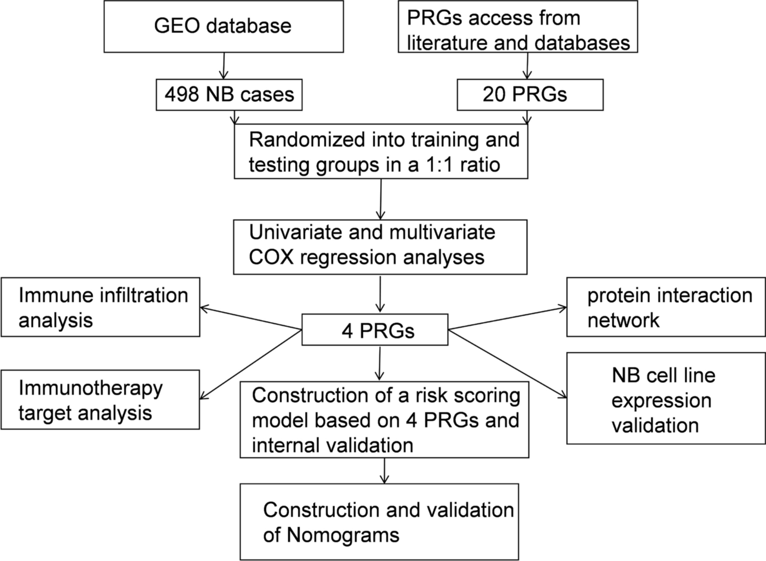 Immune-oncology targets and therapeutic response of cell pyroptosis-related genes with prognostic implications in neuroblastoma