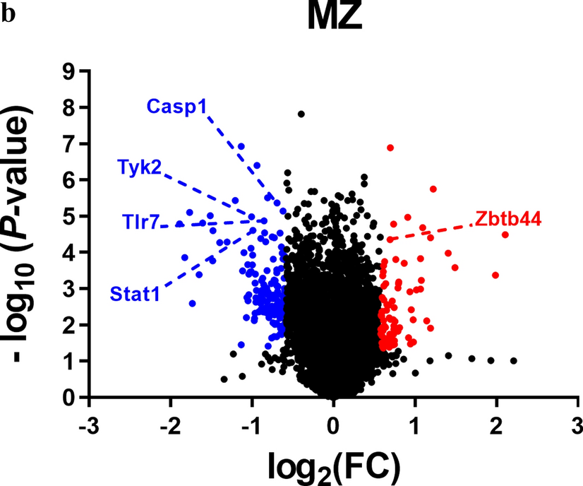 Correction: Tyrosine kinase 2 modulates splenic B cells through type I IFN and TLR7 signaling