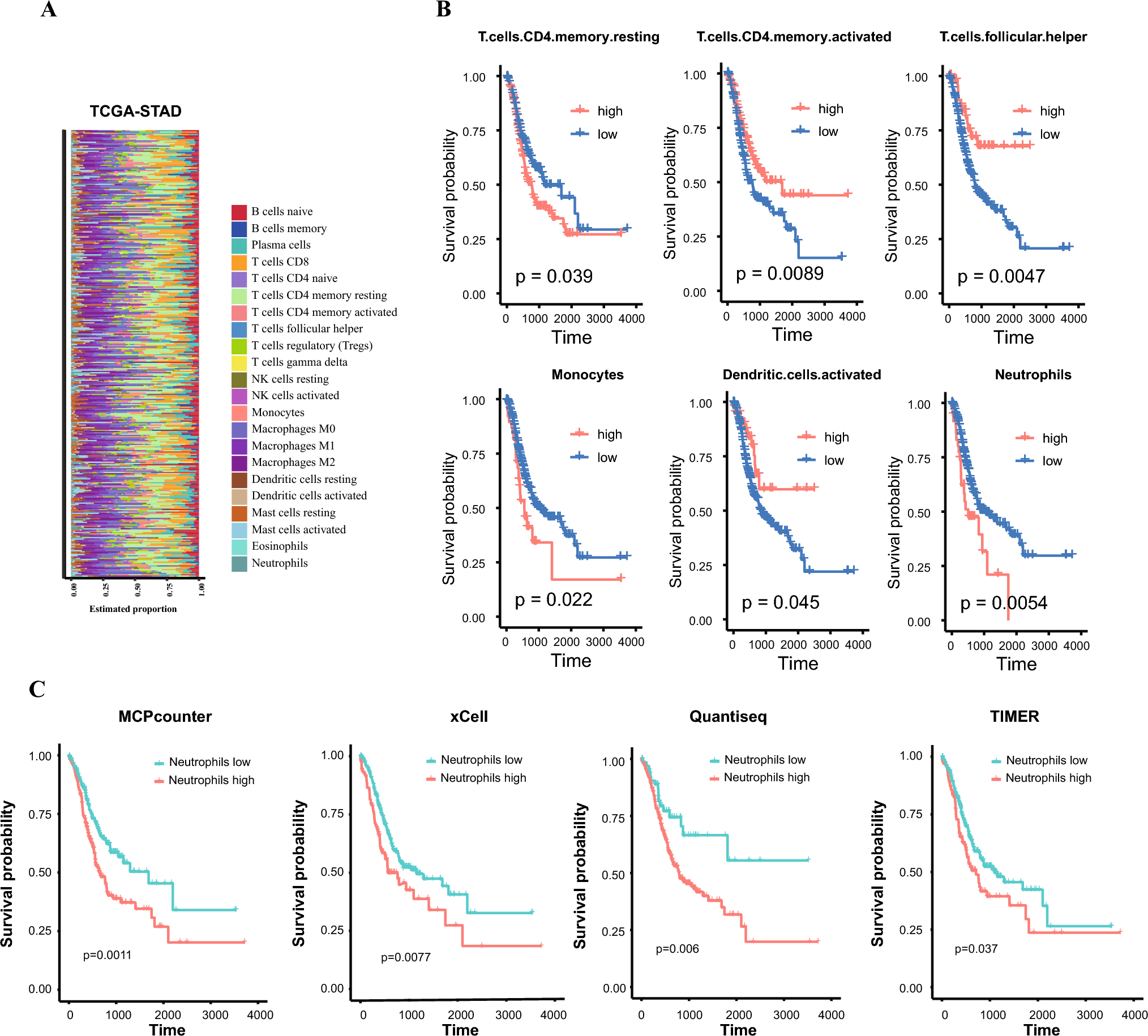 Neutrophil-centric analysis of gastric cancer: prognostic modeling and molecular insights