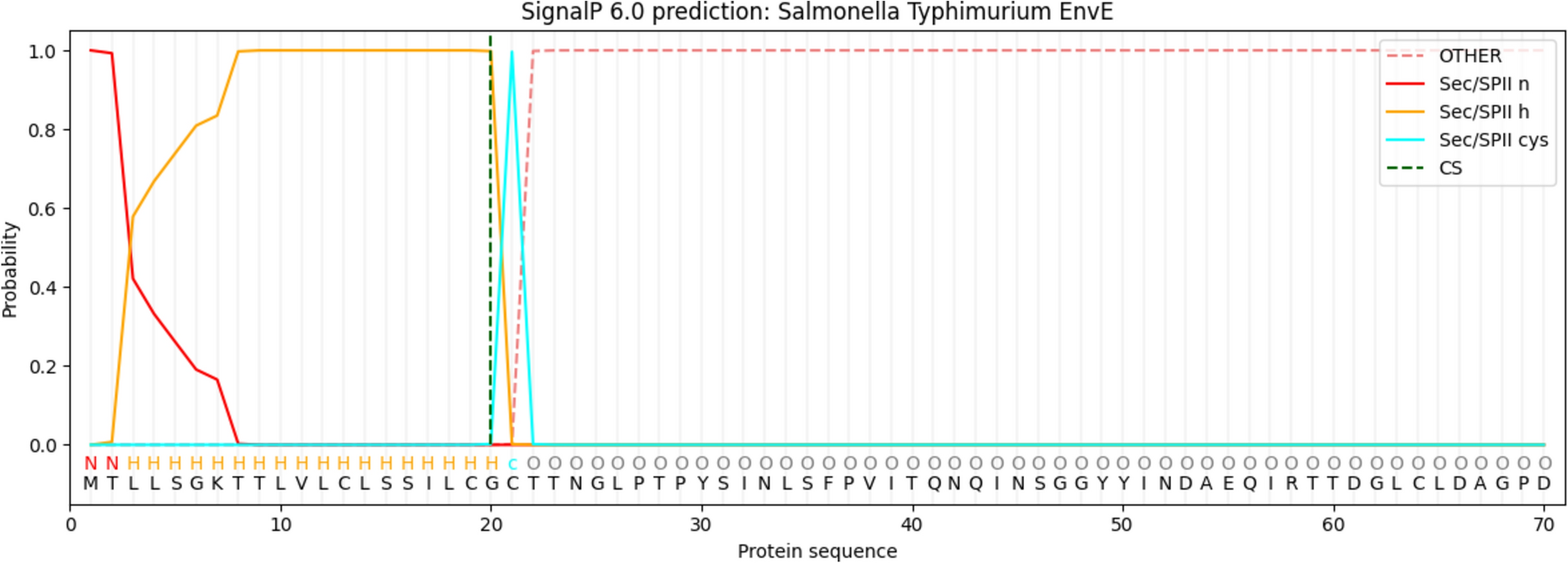 The Salmonella enterica EnvE is an Outer Membrane Lipoprotein and Its Gene Expression Leads to Transcriptional Repression of the Virulence Gene msgA