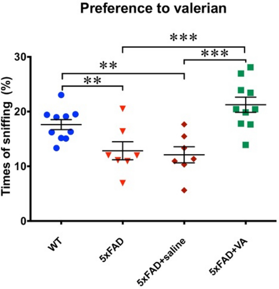 Valproate Administration to Adult 5xFAD Mice Upregulates Expression of Neprilysin and Improves Olfaction and Memory