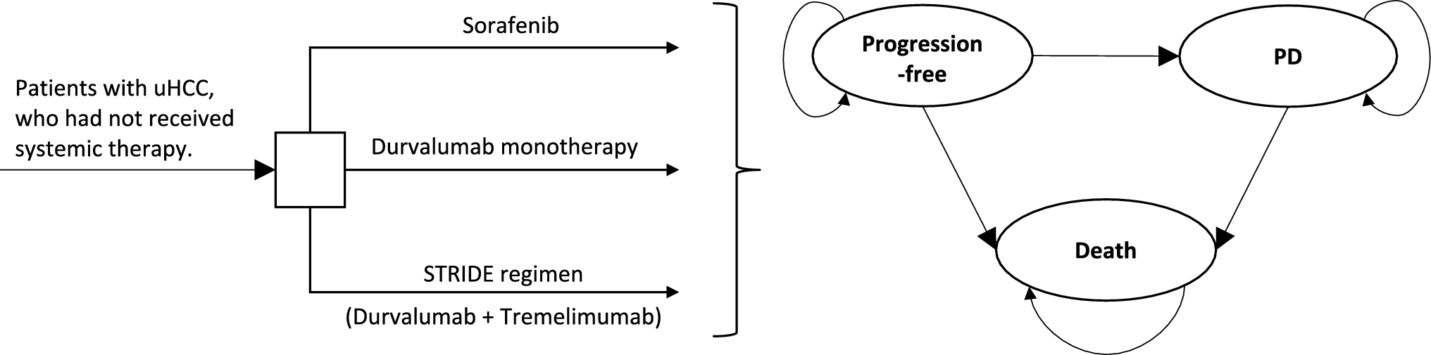 Cost Effectiveness of Tremelimumab Plus Durvalumab for Unresectable Hepatocellular Carcinoma in the USA