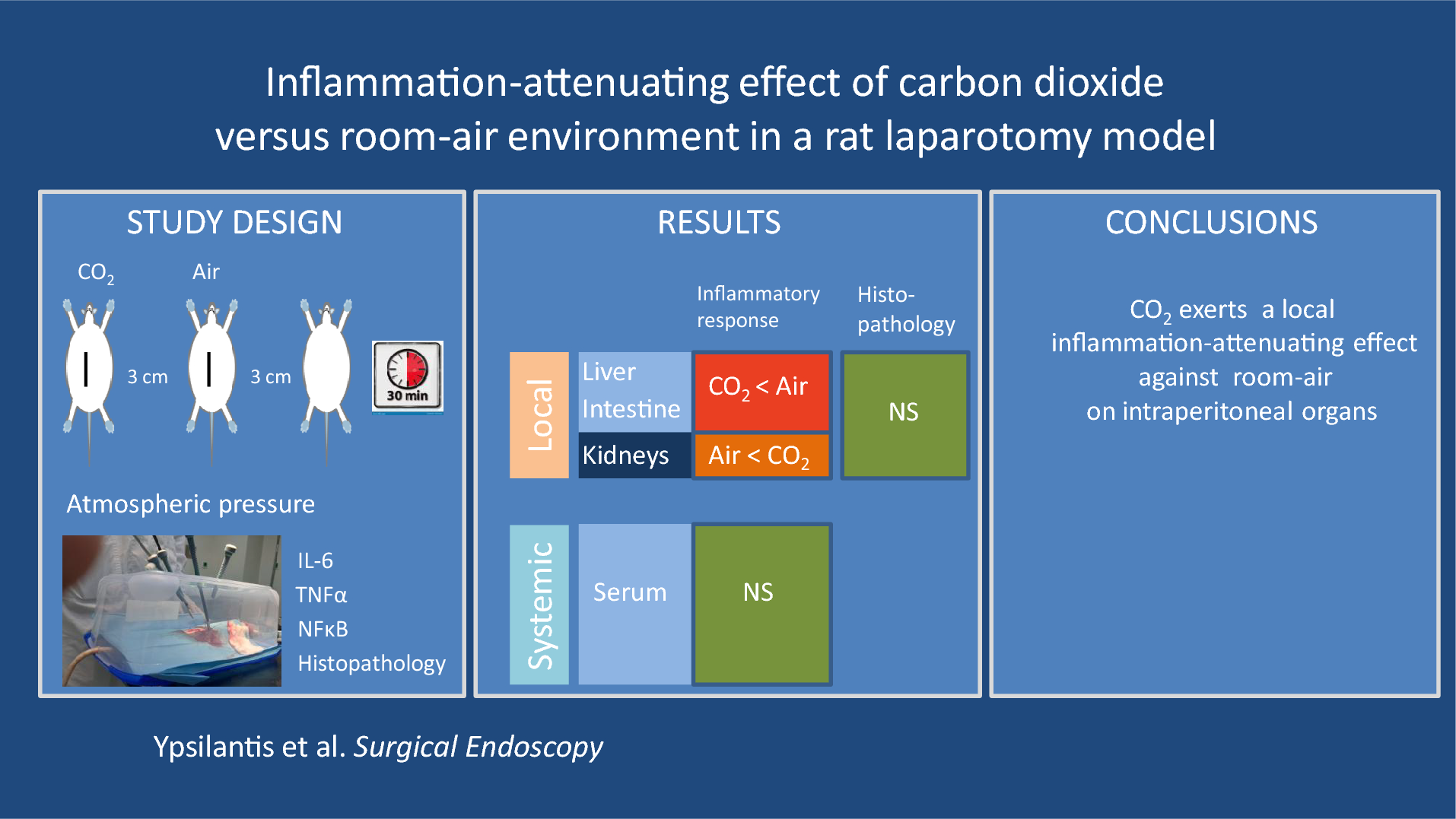 Inflammation-attenuating effect of carbon dioxide versus room-air environment in a rat laparotomy model