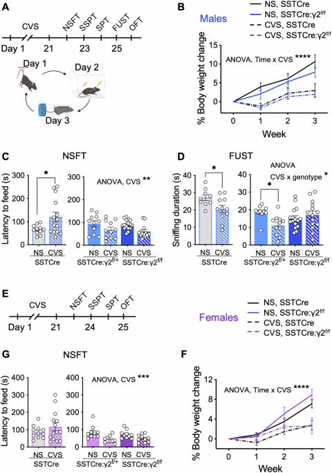 Transcriptome signatures of the medial prefrontal cortex underlying GABAergic control of resilience to chronic stress exposure