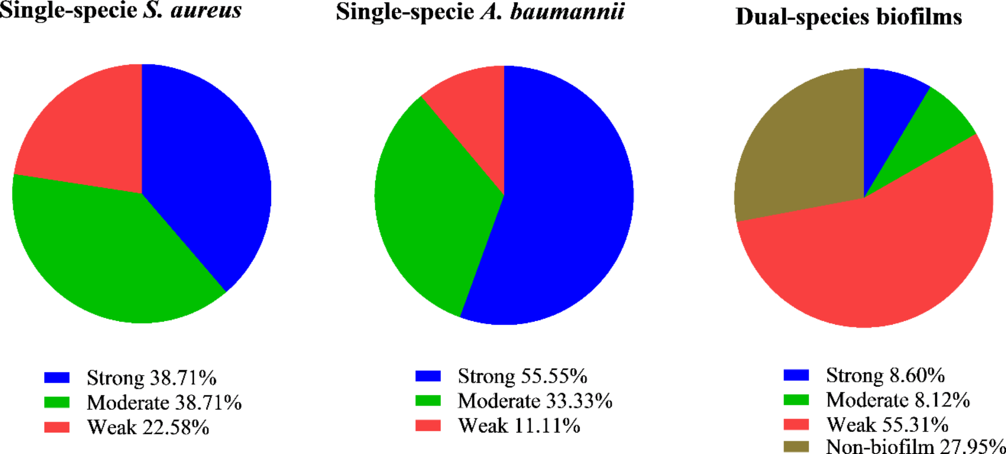 The antimicrobial and antibiofilm effects of gentamicin, imipenem, and fucoidan combinations against dual-species biofilms of Staphylococcus aureus and Acinetobacter baumannii isolated from diabetic foot ulcers