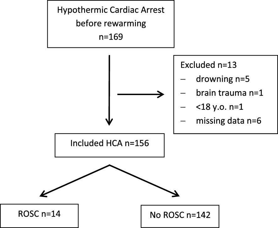 Hypothermic cardiac arrest: prognostic factors for successful resuscitation before rewarming