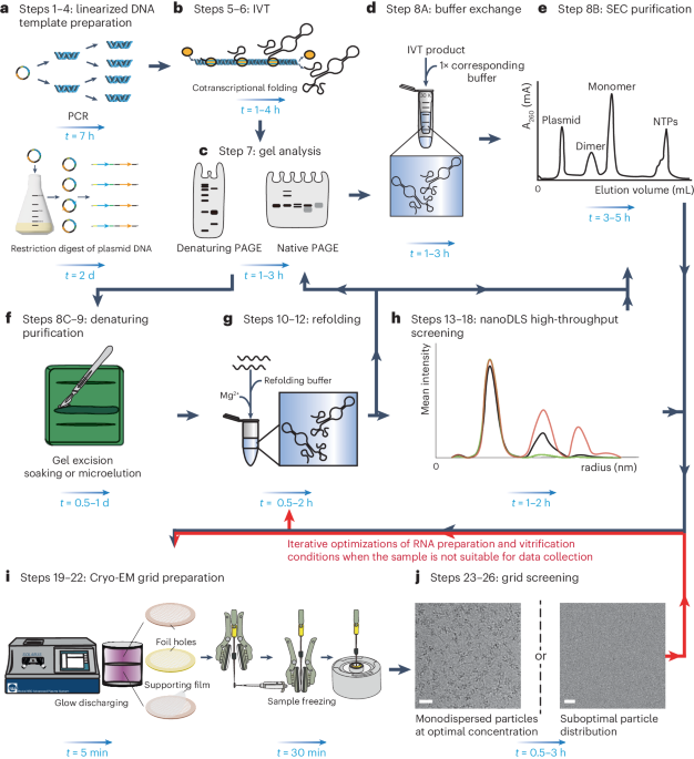 RNA sample optimization for cryo-EM analysis