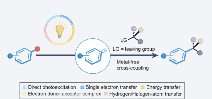 Light-assisted functionalization of aryl radicals towards metal-free cross-coupling