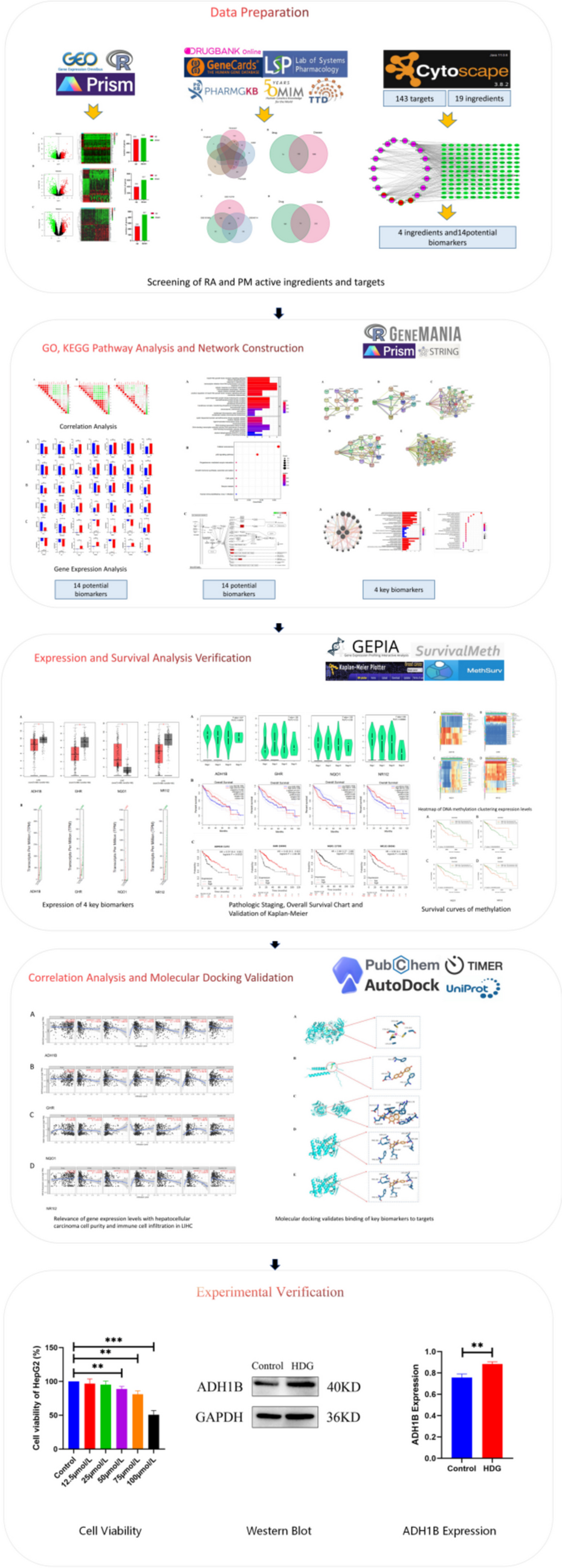 Bioinformatics combined with network pharmacology and experimental validation to identify key biomarkers of hepatocellular carcinoma and corresponding compounds in Radix Astragali and Pueraria Mirifica