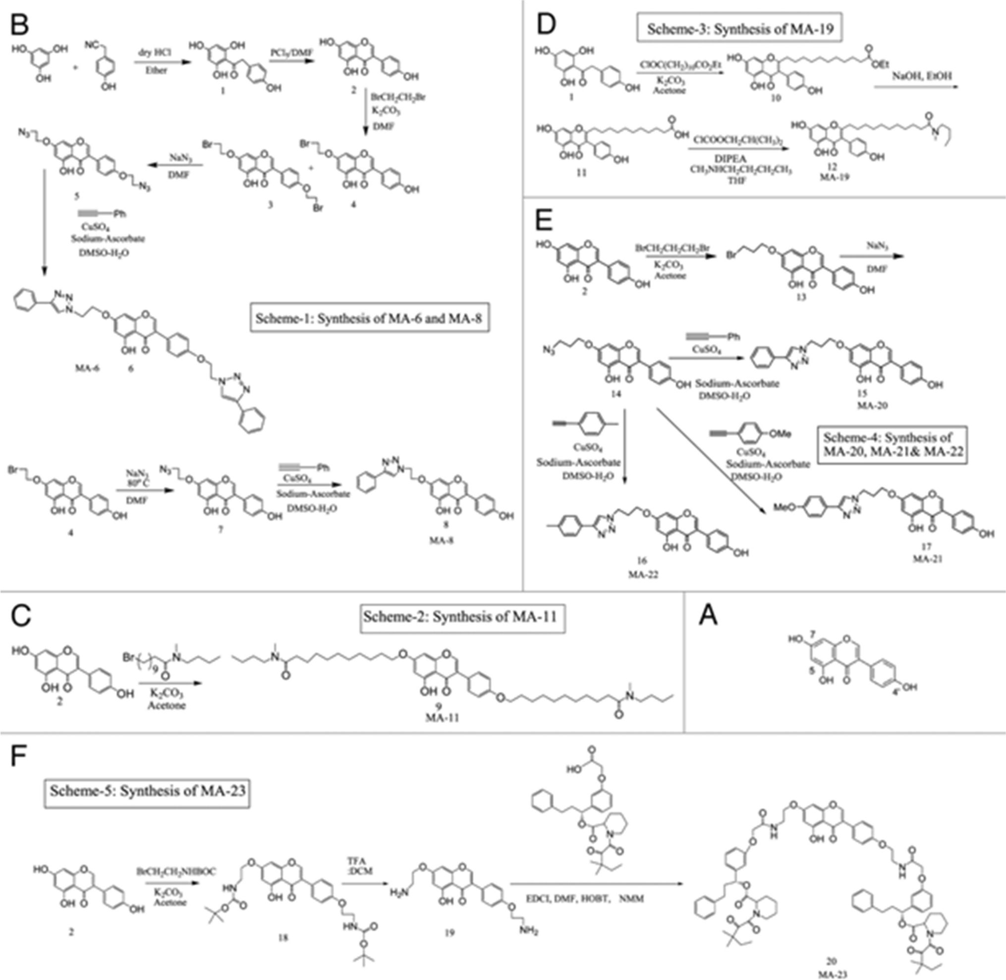 Unleashing the potential of Genistein and its derivatives as effective therapeutic agents for breast cancer treatment