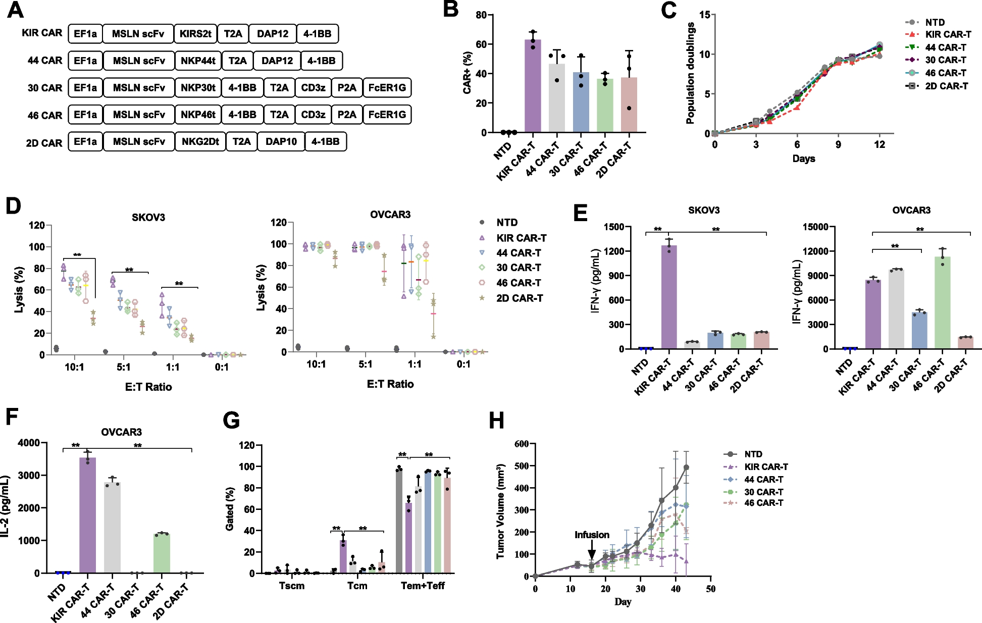 Efficacy and safety of novel multiple-chain DAP-CAR-T cells targeting mesothelin in ovarian cancer and mesothelioma: a single-arm, open-label and first-in-human study