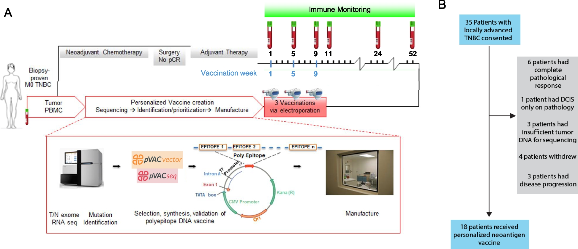 Neoantigen DNA vaccines are safe, feasible, and induce neoantigen-specific immune responses in triple-negative breast cancer patients