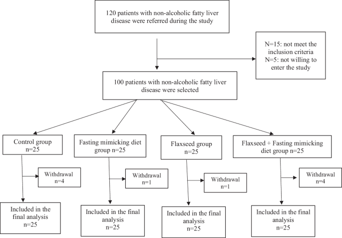 Effectiveness of flaxseed consumption and fasting mimicking diet on anthropometric measures, biochemical parameters, and hepatic features in patients with Metabolic Dysfunction-Associated Steatotic Liver Disease (MASLD): a randomized controlled clinical trial