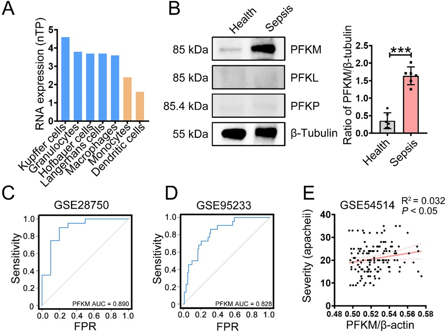 rTM reprograms macrophages via the HIF-1α/METTL3/PFKM axis to protect mice against sepsis