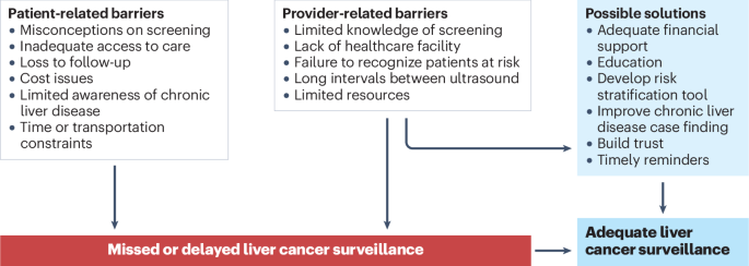 Transforming the landscape of liver cancer detection and care