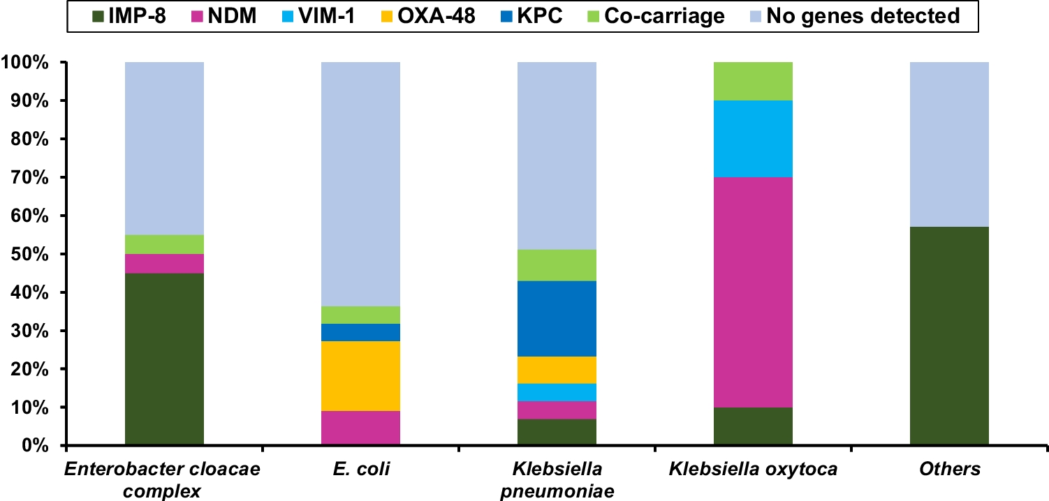 High diversity of strain clonality and metallo-β-lactamases genes among carbapenem-resistant Enterobacterales in Taiwan