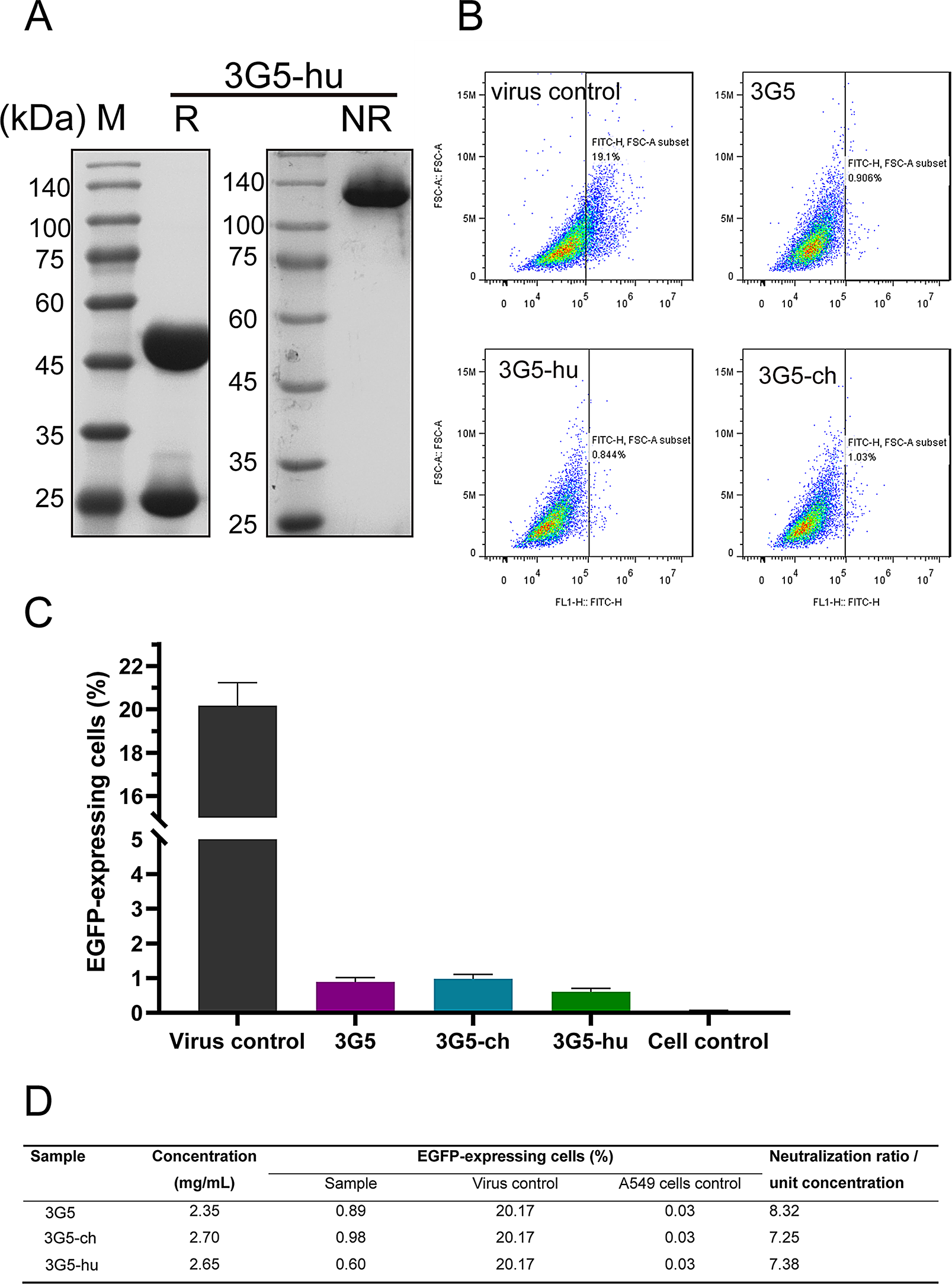 A humanized neutralizing antibody protects against human adenovirus type 7 infection in humanized desmoglein-2 and CD46 double-receptor transgenic mice