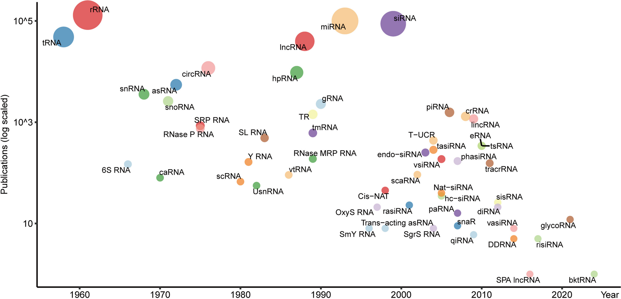 Non-coding RNA notations, regulations and interactive resources