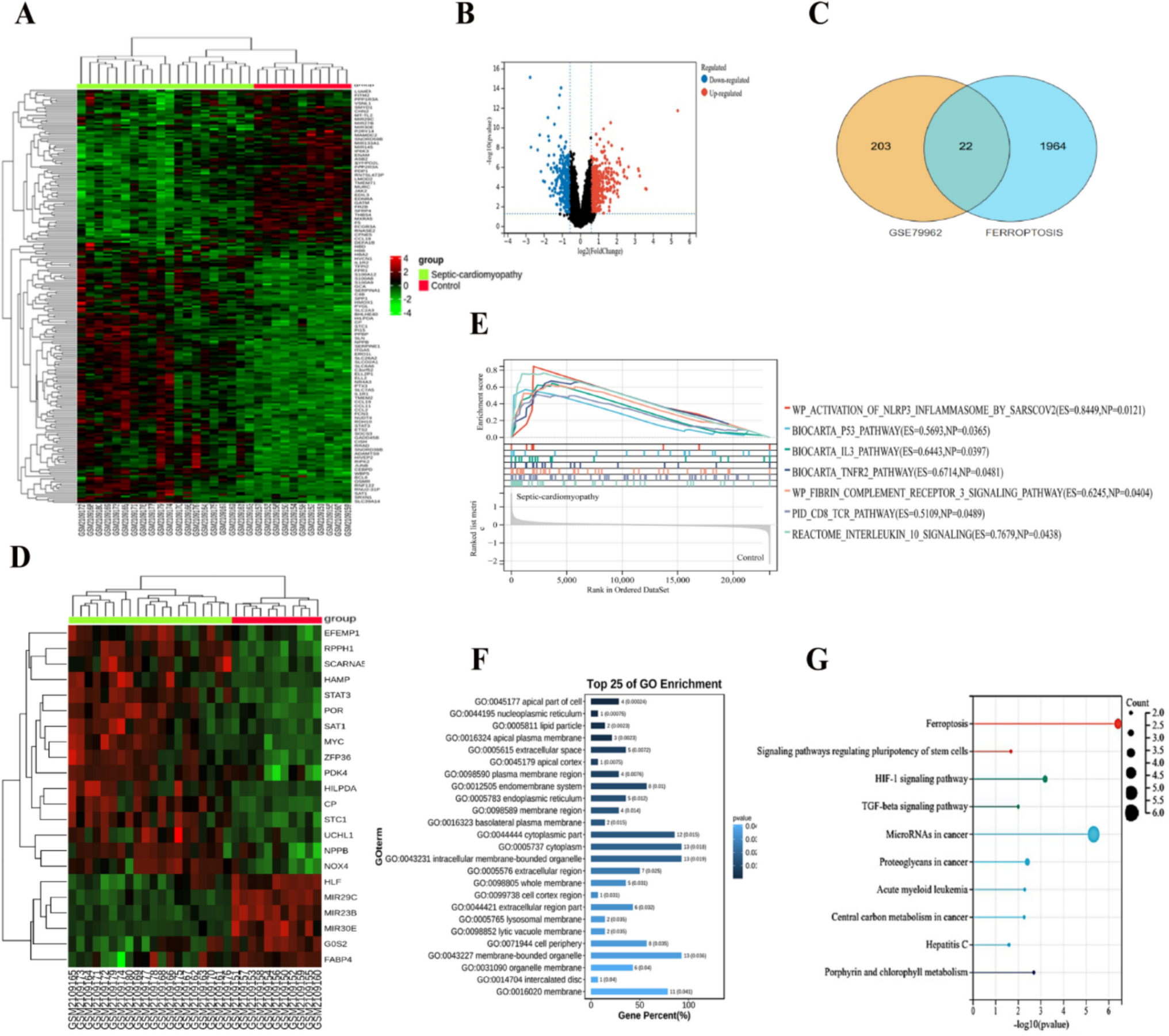 Identification of STAT3 and MYC as critical ferroptosis-related biomarkers in septic cardiomyopathy: a bioinformatics and experimental study