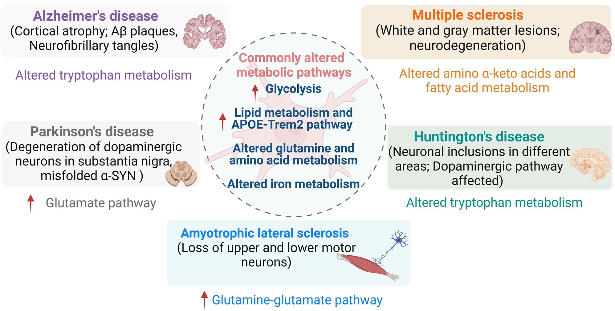 Fueling neurodegeneration: metabolic insights into microglia functions