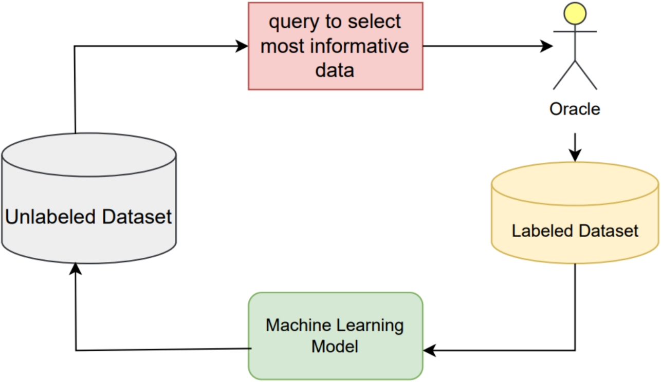 Active Learning with Particle Swarm Optimization for Enhanced Skin Cancer Classification Utilizing Deep CNN Models