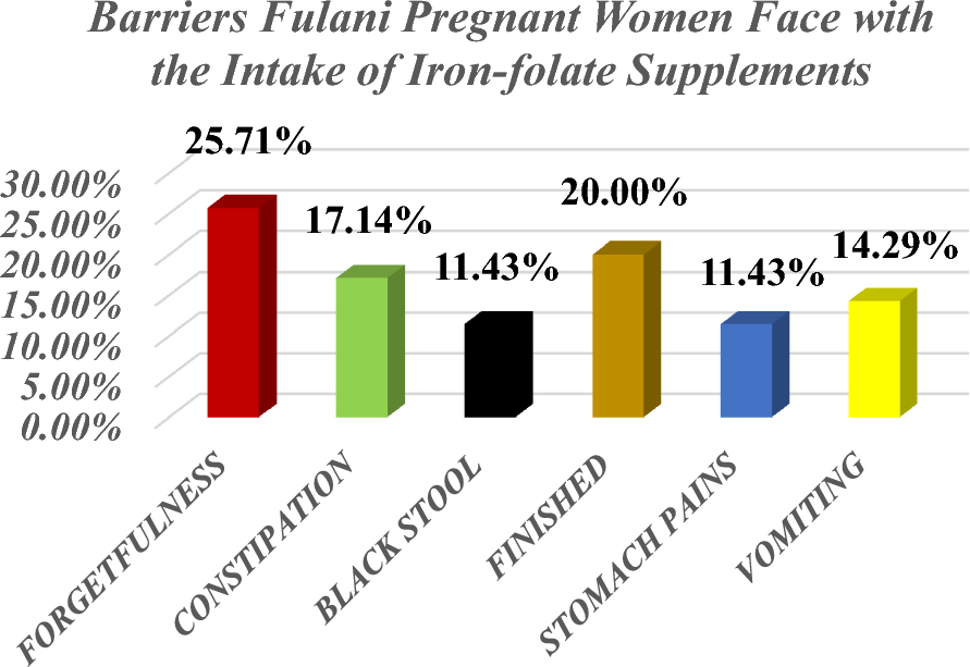 Adherence to and predictors of iron-folate acid supplementation among pregnant women in a pastoral population in Ghana: a community-based cross-sectional study