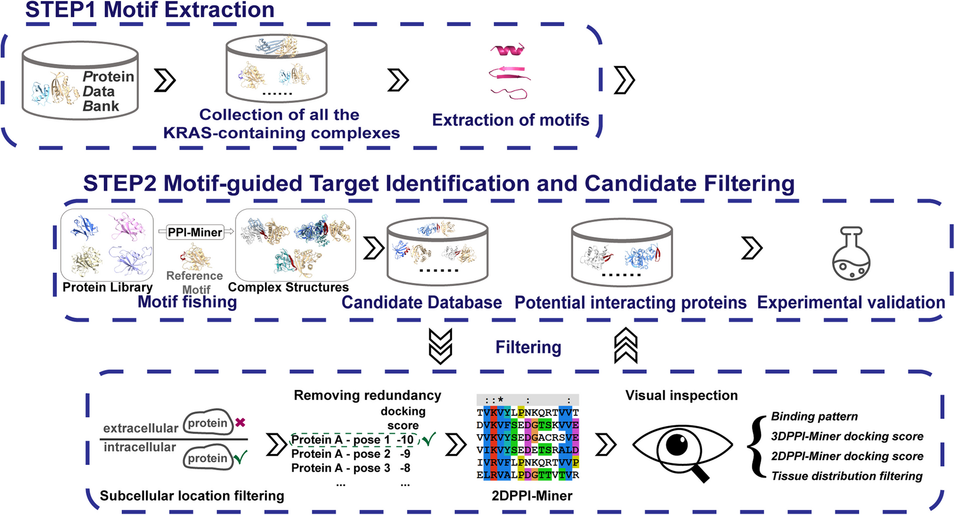 Motif-guided identification of KRAS-interacting proteins