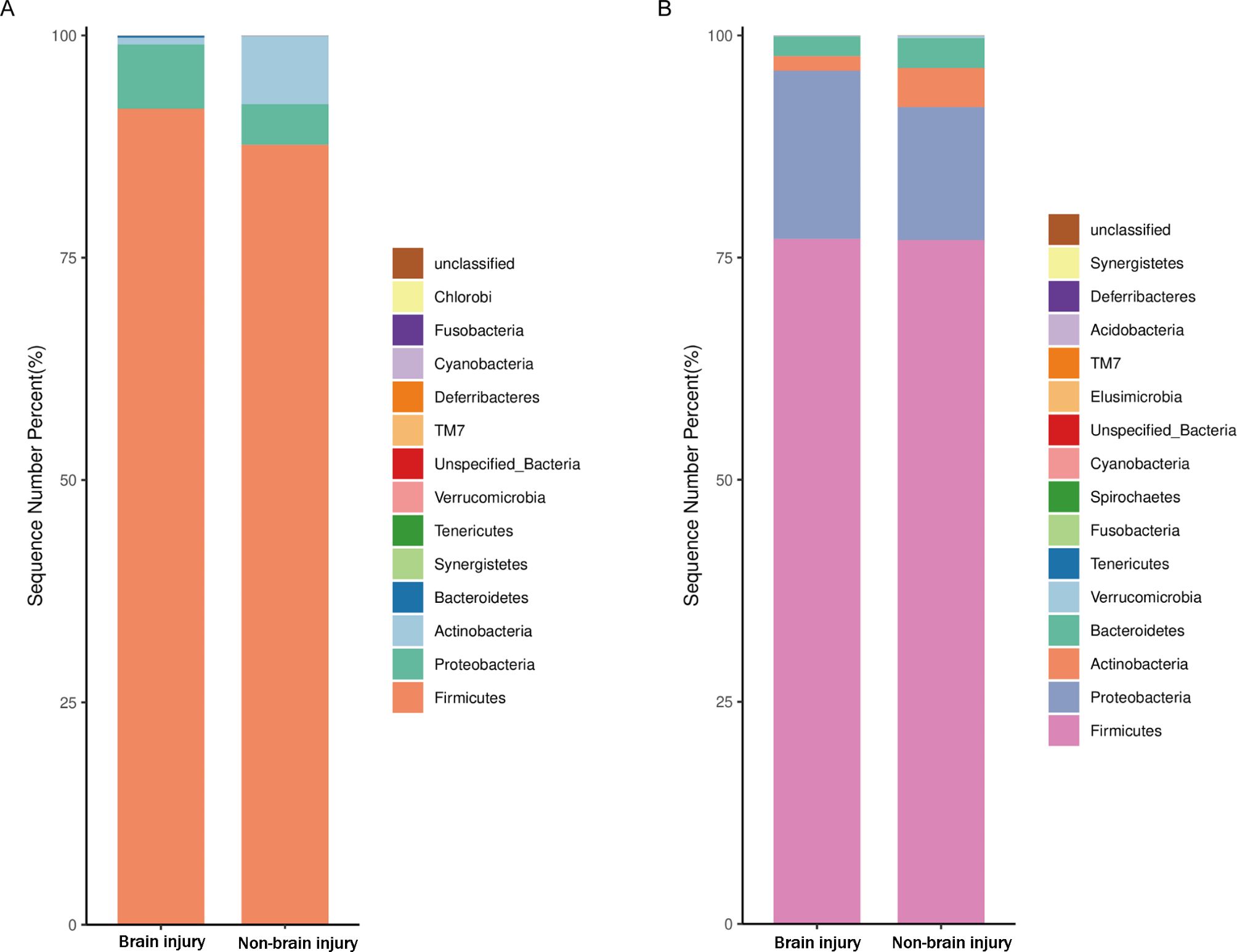 Brain injury in premature infants may be related to abnormal colonization of early gut microbiome